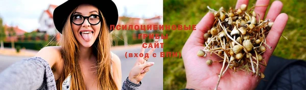 марки lsd Баксан