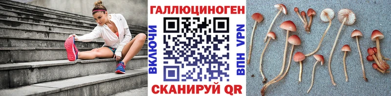 Псилоцибиновые грибы GOLDEN TEACHER  Гаврилов Посад 