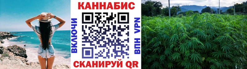 где купить   Гаврилов Посад  Бошки Шишки VHQ 